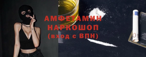 индика Верея