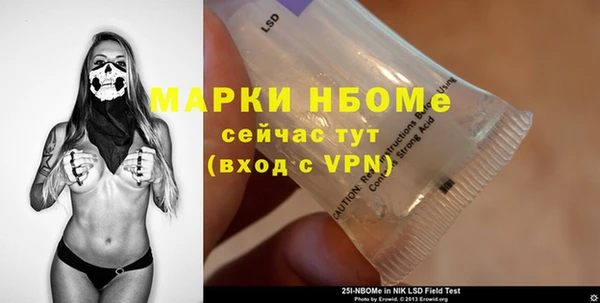 индика Верея