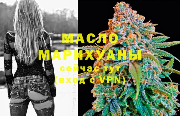 индика Верея