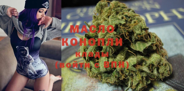 индика Верея