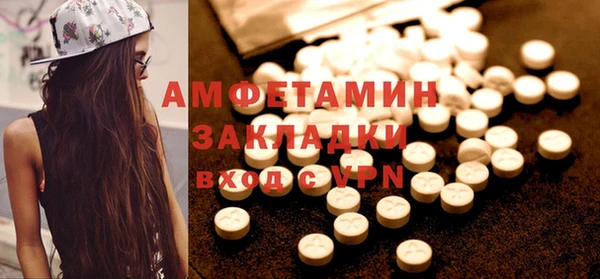 индика Верея