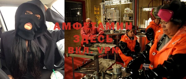 индика Верея