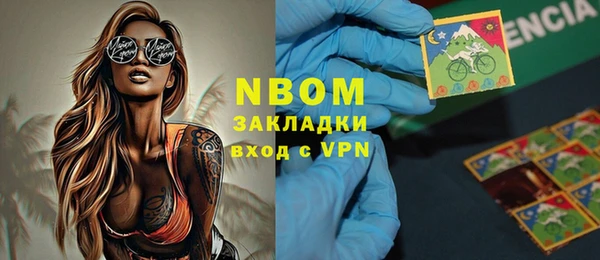 индика Верея