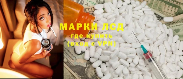 индика Верея
