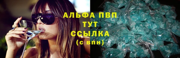 индика Верея