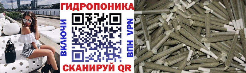 Конопля конопля  Майкоп 